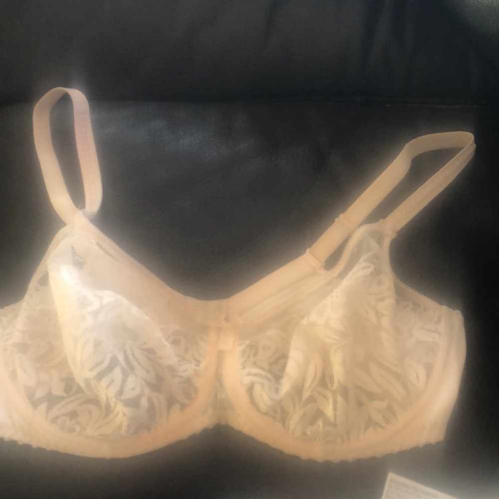 Prima Donna Bra 36D